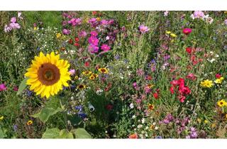 Haus kaufen in 75331 Engelsbrand, Engelsbrand - Traumhaus Nordschwarzwald direkt am Wald freistehend mit Garten