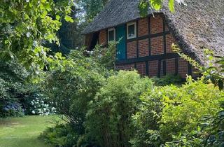 Bauernhaus kaufen in 29643 Neuenkirchen, Neuenkirchen - Großes Grundstück mit sanierten Reetdach Haus