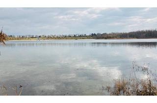 Einfamilienhaus kaufen in 06242 Braunsbedra, Braunsbedra - Einfamilienhaus mit schönem Garten in Seenähe (Hasse)