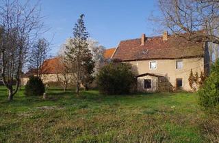 Bauernhaus kaufen in 06425 Alsleben, Alsleben (Saale) - Bauernhaus mit 2 Scheunen und großem Grundstück