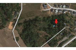 Haus kaufen in 66687 Wadern, Wadern - Einmalige Gelegenheit für Naturliebhaber und Golfer