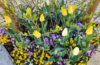 Wohnung kaufen in Schulstraße 30, 89165 Dietenheim, Sonnige 3 Zimmerwohnung mit Balkon und Garage