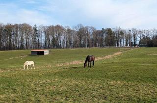 Wohnung kaufen in Schulstraße 30, 89165 Dietenheim, *der Natur so nah* ein Top Angebot*sonnige 3 Zimmerwohnung mit Balkon und Garage
