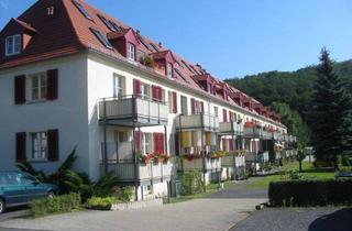 Wohnung mieten in 01796 Pirna, ++Ruhige 2-Zimmer-Wohnung im EG mit Balkon und Außenstellplatz in Pirna-Südvorstadt++