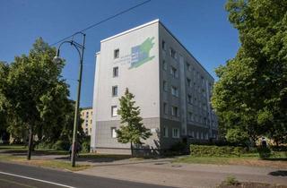 Wohnung mieten in Franzstraße 116, 06842 Innenstadt, 3-RWE im Zentrum