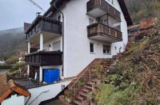 Haus kaufen in 97907 Hasloch, Vom Waldrand ins Maintal blicken - gute Rendite gratis