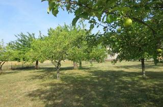 Haus kaufen in 03130 Hornow-Wadelsdorf, Ruhig gelegener Vierseitenhof - für Selbstversorger geeignet mit viel Potenzial
