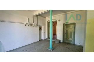 Mehrfamilienhaus kaufen in 02730 Ebersbach-Neugersdorf, Mehrfamilienhaus und Nebengelass mit Großem Grundstück