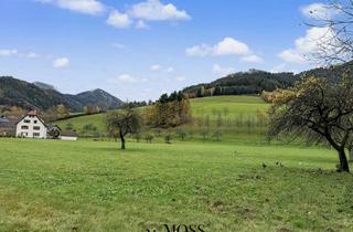 Haus kaufen in 79263 Simonswald, Ihr neues Domizil in Simonswald – Familienfreundlich, renoviert & mit Einliegerwohnung