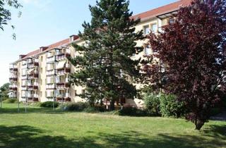 Wohnung mieten in August-Bebel-Straße 68, 04668 Grimma, Neu sanierte 1-Raumwohnung mit Dusche und Balkon