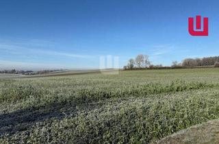 Grundstück zu kaufen in 82293 Mittelstetten, WINDISCH IMMOBILIEN - Landwirtschaftliche Fläche nähe Mittelstetten