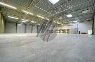 Büro zu mieten in 65835 Liederbach, KEINE PROVISION ✓ RAMPE + EBEN ✓ Lager (1.800 m²) & Büro (600 m²)