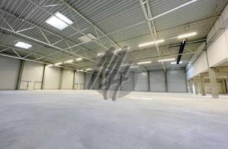 Büro zu mieten in 65843 Sulzbach, KEINE PROVISION ✓ RAMPE + EBEN ✓ Lager (1.800 m²) & Büro (600 m²)