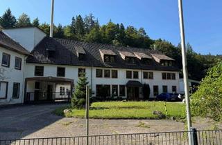 Gewerbeimmobilie kaufen in Jägertal, 67098 Bad Dürkheim, Alte Papierfabrik Jägertal Bad Dürkheim