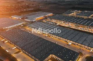 Gewerbeimmobilie mieten in 65428 Rüsselsheim, ! Hochwertiger Logistikflächen ☆ bis zu 40.000 m² ☆ Flughafennah ☆ individuelle Ausstattung !