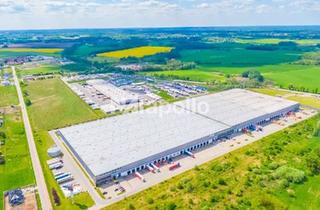 Gewerbeimmobilie mieten in 65451 Kelsterbach, ! Flughafennähe ☆ bis zu 40.000 m² Logistikflächen ☆ individuelle Ausstattung ☆ hochwertig !