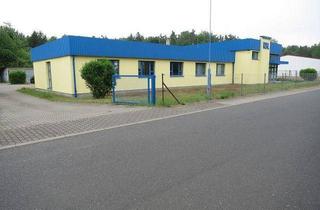 Gewerbeimmobilie mieten in Wilhelm-Conrad-Röntgen-Str., 16225 Eberswalde, Lager-/Werkstattimmobilie im Technologie- und Gewerbepark Eberswalde (TGE)