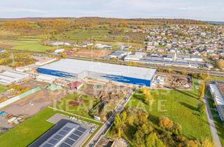 Gewerbeimmobilie mieten in 97483 Eltmann, Letzte verfügbare Fläche im Panattoni Park Unterfranken!