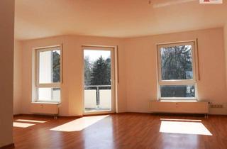 Anlageobjekt in 09212 Limbach-Oberfrohna, Vermietete 3-Raum-Wohnung in Limbach-Oberfrohna nahe Chemnitz mit Südbalkon & Tiefgaragen-Stellplatz