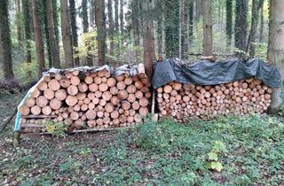 Grundstück zu kaufen in Unnamed Road, 71101 Schönaich, Waldgrundstück an den Vogtswiesen