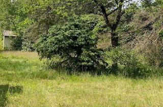 Grundstück zu kaufen in 16775 Löwenberger Land, Grundstück für Einfamilienhaus in Nassenheide mit Blick über die Felder