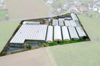 Immobilie kaufen in 53894 Mechernich, Biozertifizierter Gartenbaubetrieb in Mechernich