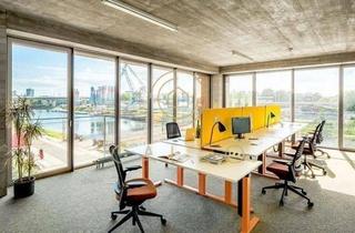 Gewerbeimmobilie mieten in 68159 Mannheim, CALEO ¦ Jungbusch ¦ Dock Drei ¦ flexibel + sofort bezugsfertig ¦ All-in-Miete ¦ PROVISIONSFREI