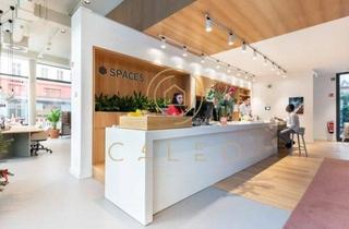 Gewerbeimmobilie mieten in Prenzlauer Berg, 10405 Berlin, CALEO ¦ Prenzlauer Berg ¦ flexibel + sofort bezugsfertig ¦ All-in-Miete ¦ PROVISIONSFREI