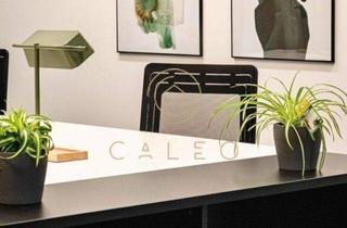 Gewerbeimmobilie mieten in 61476 Kronberg, CALEO ¦ Kronberg ¦ flexibel + sofort bezugsfertig ¦ all inclusive ¦ PROVISIONSFREI