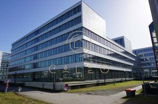 Gewerbeimmobilie mieten in 64295 Darmstadt, CALEO ¦ Darmstadt-West ¦ 260 m² - 29.911 m² ¦ ab EUR 13,00/m² ¦ PROVISIONSFREI