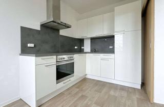 Wohnung mieten in Südring 73c, 18059 Südstadt, 2-Zimmer-Wohnung mit Südwest-Balkon, Stellplatz & moderner Einbauküche
