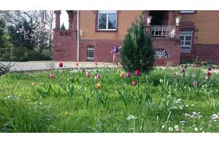 Wohnung mieten in Kettelerstraße 10, 76768 Berg, Schöne Altbauwohnung mit 5 Zimmern in Lauterbourg (France) neben Berg, in parkähnlichem Grundstück