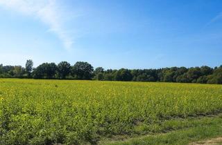 Haus kaufen in 22889 Tangstedt, Neubau eines anspruchsvollen 2-Familienhauses in Toplage von Tangstedt/Krs. Stormarn SH
