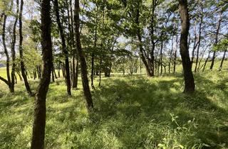 Haus kaufen in 58540 Meinerzhagen, Großzügig.Naturnah.Weitläufig.