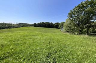 Haus kaufen in 58540 Meinerzhagen, Großzügig.Naturnah.Weitläufig.