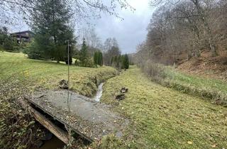 Haus kaufen in 54552 Demerath, + Finnlandblockhaus am Waldrand +Traumlage + Panoramablick + 3.500 m² Grundstück