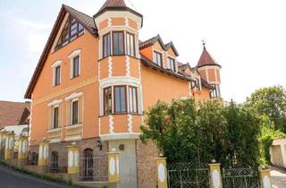 Mehrfamilienhaus kaufen in 91220 Schnaittach, Provisionsfrei!! Schlossartiges Mehrfamilienhaus mit hoher Qualität und attraktiver Rendite