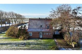 Einfamilienhaus kaufen in 25718 Friedrichskoog, Einfamilienhaus mit Blick über die offene Feldlandschaft