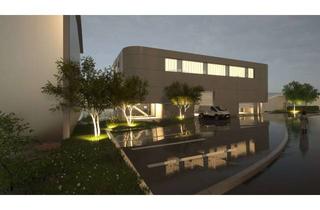 Büro zu mieten in 78247 Hilzingen, Beeindruckende Gewerbeimmobilie! Moderne Neubau Halle mit Büros nach Absprache zu vermieten.