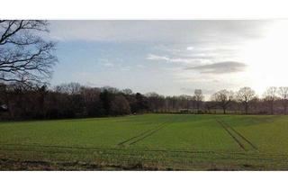 Anlageobjekt in 22889 Tangstedt, Kapitalanlage: Neubau von 2 DHH und einem 2-Fam-Haus in gesuchter Lage von Tangstedt/Krs. Stormarn