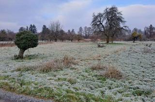 Grundstück zu kaufen in 76351 Linkenheim-Hochstetten, Streuobstwiesen Wiese Holzplatz Grundstücke