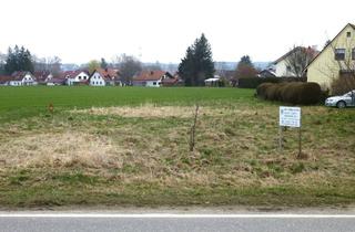 Grundstück zu kaufen in 86875 Waal, gr. Grundstück in Waal sucht Traumhaus, vielseitige Bebauungsmöglichkeiten