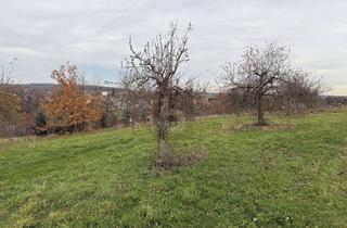 Grundstück zu kaufen in 96185 Schönbrunn, IDYLLISCHES FLECKEN NATUR