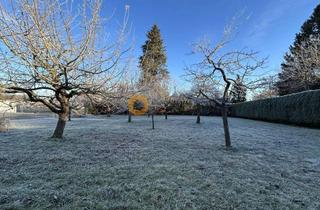 Grundstück zu kaufen in 85276 Pfaffenhofen, Baugrundstück für Einfamilienhaus in ruhiger Sackgasse, 0,84 km zum Hauptplatz