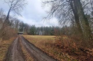 Gewerbeimmobilie kaufen in 92281 Königstein, Grundstück für Freizeit- Land- Forstwirtschaft bei Kappelberg