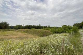 Gewerbeimmobilie kaufen in 15517 Fürstenwalde, Voll erschlossenes Gewerbegrundstück in Fürstenwalde