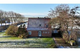 Einfamilienhaus kaufen in 25718 Friedrichskoog, Einfamilienhaus mit Blick über die offene Feldlandschaft
