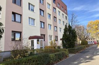 Wohnung mieten in Herrmann-Hammerschmidt-Str. 29, 03042 Sandow, Nachmieter für P2-Wohnung in Sandow gesucht - Vermieter ist GWC