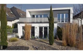 Wohnung mieten in Bahnhofstr. 38, 64404 Bickenbach, moderne, ruhige und helle Singl 1-Zimmer-Wohnung mit Terrasse und EBK in Bickenbach