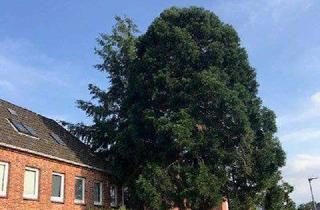 Wohnung mieten in 21502 Geesthacht, Helle 2 Zi-Whg. mit Terrasse im 5-Familienhaus sowie Gartenanteil in Geesthacht-Grünhof!